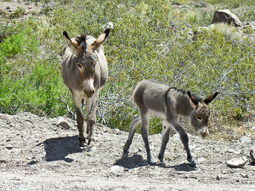 DSCN9804.jpg DSCN9804.jpg