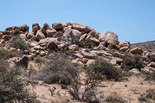 DSC_3412.jpg DSC_3412.jpg