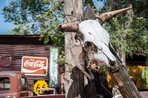 DSC_3442.jpg DSC_3442.jpg