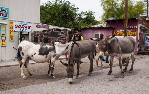 DSC_3626.jpg DSC_3626.jpg