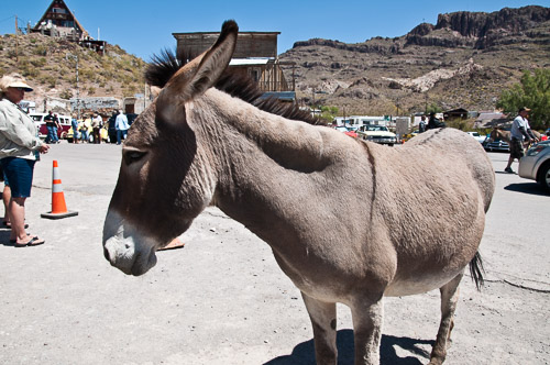 DSC_5019.jpg DSC_5019.jpg