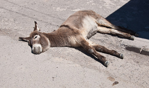 DSC_5043.jpg DSC_5043.jpg