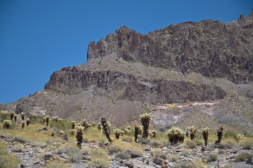 DSC_5061.jpg DSC_5061.jpg