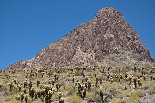 DSC_5062.jpg DSC_5062.jpg