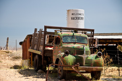 DSC_8787.jpg DSC_8787.jpg