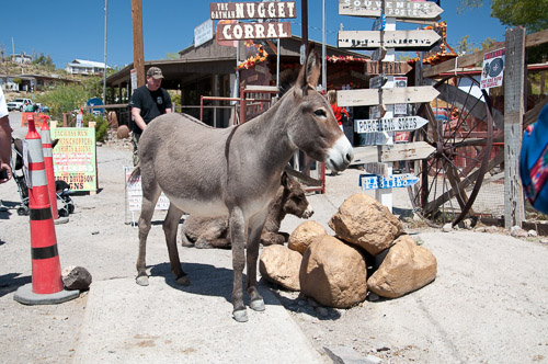 DSC_8913.jpg DSC_8913.jpg