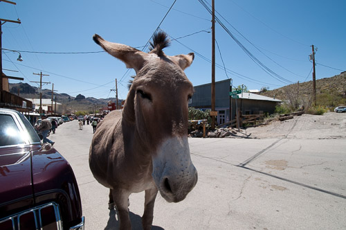 DSC_8936.jpg DSC_8936.jpg