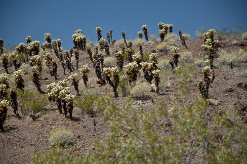 DSC_8954.jpg DSC_8954.jpg