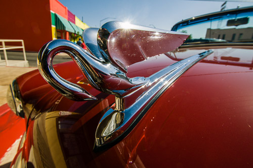 DSC_13691.jpg DSC_13691.jpg