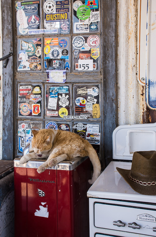 HJRW_20180505_DSC8792.jpg HJRW_20180505_DSC8792.jpg