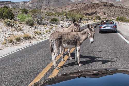 HJRW_20180506_DSC8903.jpg HJRW_20180506_DSC8903.jpg