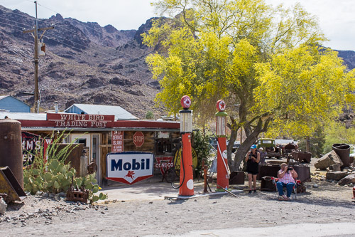 HJRW_20180506_DSC8930.jpg HJRW_20180506_DSC8930.jpg