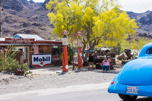 HJRW_20180506_DSC8931.jpg HJRW_20180506_DSC8931.jpg