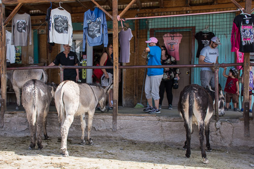 HJRW_20180506_DSC8942.jpg HJRW_20180506_DSC8942.jpg