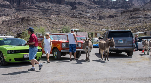 HJRW_20180506_DSC8944.jpg HJRW_20180506_DSC8944.jpg