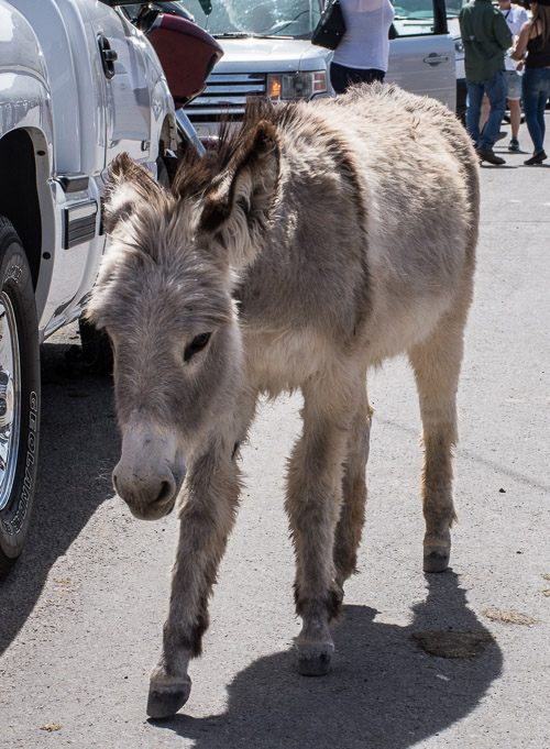 HJRW_20180506_DSC8954.jpg HJRW_20180506_DSC8954.jpg