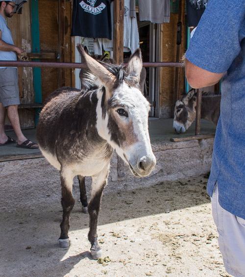 HJRW_20180506_DSC8956.jpg HJRW_20180506_DSC8956.jpg