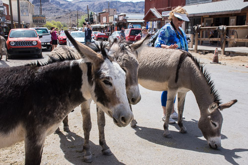 HJRW_20180506_DSC8957.jpg HJRW_20180506_DSC8957.jpg