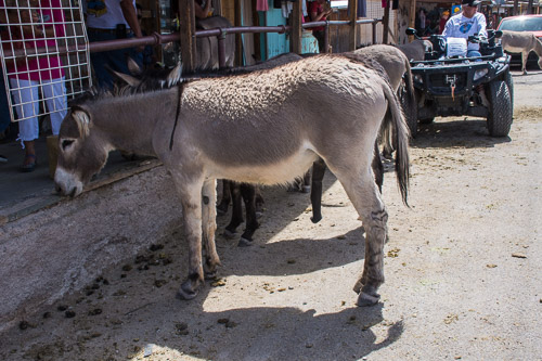 HJRW_20180506_DSC8958.jpg HJRW_20180506_DSC8958.jpg