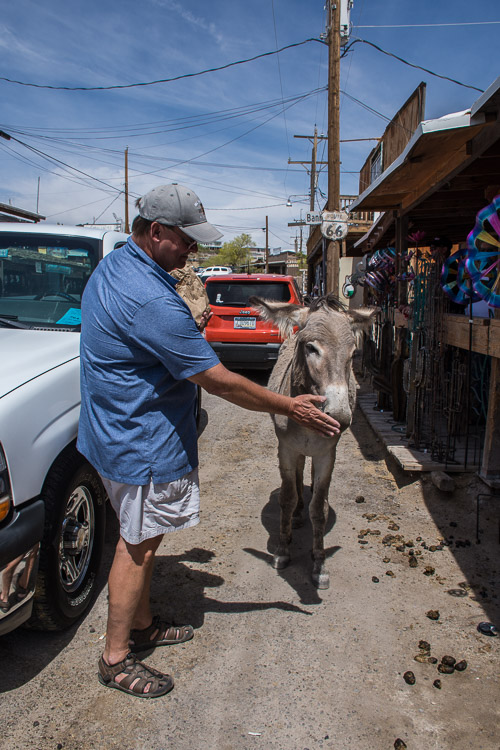 HJRW_20180506_DSC8962.jpg HJRW_20180506_DSC8962.jpg