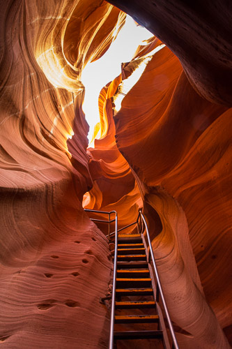 HJRW_20170312_DSC09489.jpg HJRW_20170312_DSC09489.jpg