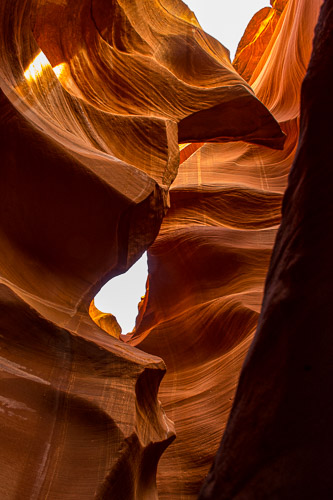 HJRW_20170312_DSC09518.jpg HJRW_20170312_DSC09518.jpg