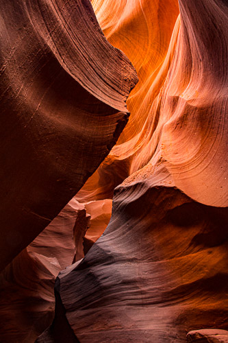 HJRW_20170312_DSC09604-Edit.jpg HJRW_20170312_DSC09604-Edit.jpg