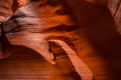 HJRW_20170312_DSC09609.jpg HJRW_20170312_DSC09609.jpg