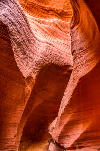 HJRW_20170312_DSC09614-Edit.jpg HJRW_20170312_DSC09614-Edit.jpg