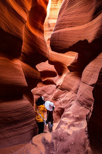 HJRW_20170312_DSC09643.jpg HJRW_20170312_DSC09643.jpg