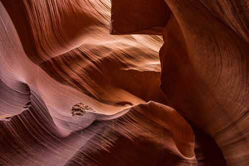 HJRW_20170312_DSC09689-Edit-Edit.jpg HJRW_20170312_DSC09689-Edit-Edit.jpg