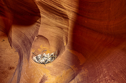 HJRW_20170312_DSC09710-Edit.jpg HJRW_20170312_DSC09710-Edit.jpg