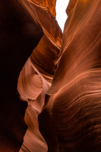 HJRW_20170312_DSC09714-Edit-Edit.jpg HJRW_20170312_DSC09714-Edit-Edit.jpg