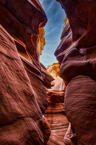 HJRW_20170312_DSC09800-Edit-Edit.jpg HJRW_20170312_DSC09800-Edit-Edit.jpg