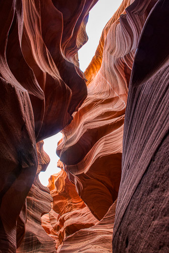 HJRW_20170312_DSC09840-Edit-Edit.jpg HJRW_20170312_DSC09840-Edit-Edit.jpg