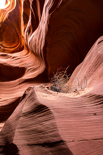 HJRW_20170312_DSC09853.jpg HJRW_20170312_DSC09853.jpg