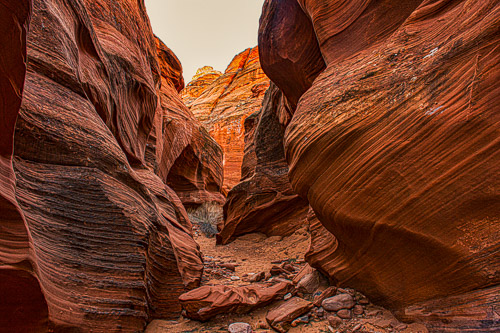 HJRW_20170313_DSC10124-Edit-3-Edit-Edit.jpg HJRW_20170313_DSC10124-Edit-3-Edit-Edit.jpg