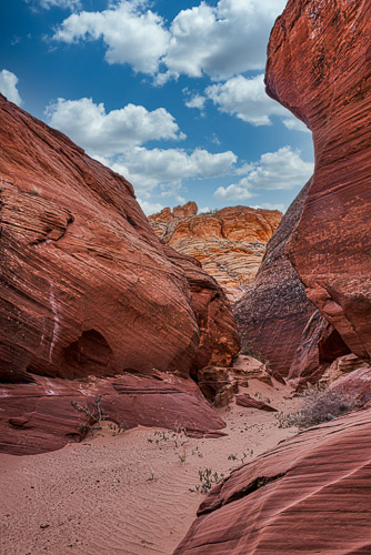 HJRW_20170313_DSC10135-Edit-Edit.jpg HJRW_20170313_DSC10135-Edit-Edit.jpg