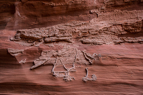 HJRW_20170313_DSC10139.jpg HJRW_20170313_DSC10139.jpg