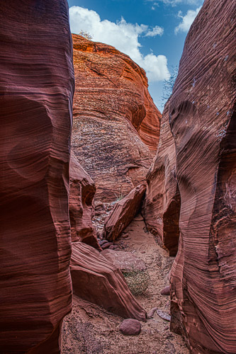 HJRW_20170313_DSC10172-Edit-Edit.jpg HJRW_20170313_DSC10172-Edit-Edit.jpg