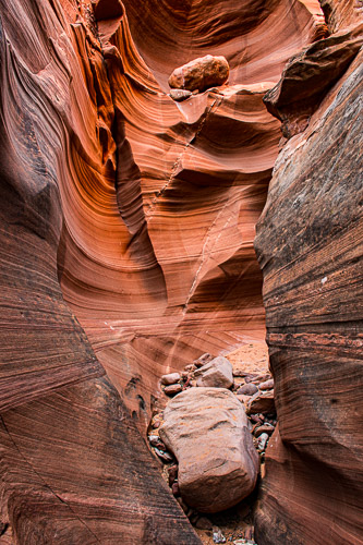 HJRW_20170313_DSC10272.jpg HJRW_20170313_DSC10272.jpg