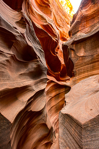 HJRW_20170313_DSC10297.jpg HJRW_20170313_DSC10297.jpg