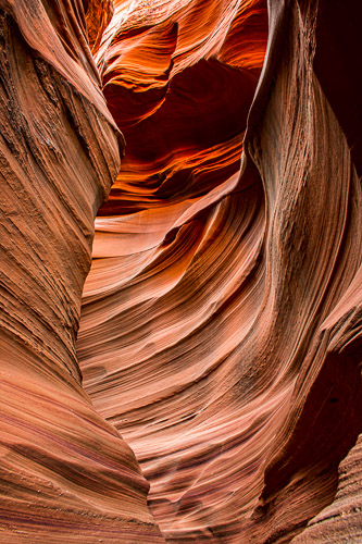 HJRW_20170313_DSC10308.jpg HJRW_20170313_DSC10308.jpg