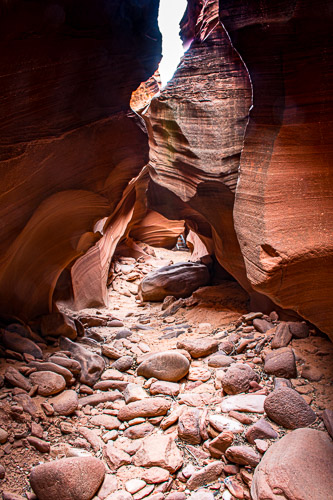 HJRW_20170313_DSC10314.jpg HJRW_20170313_DSC10314.jpg