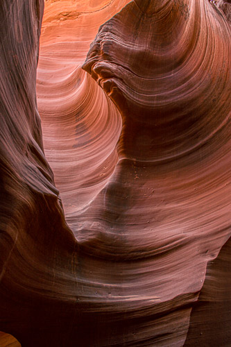 HJRW_20170313_DSC10368-Edit.jpg HJRW_20170313_DSC10368-Edit.jpg