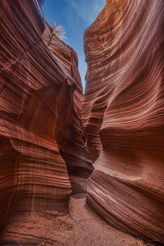 HJRW_20170313_DSC10453-Edit-Edit.jpg HJRW_20170313_DSC10453-Edit-Edit.jpg