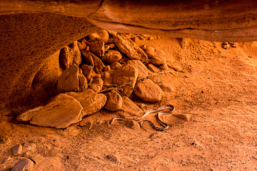 HJRW_20170313_DSC10797.jpg HJRW_20170313_DSC10797.jpg