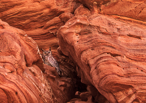 HJRW_20170313_DSC10817_AuroraHDR2018-edit.jpg HJRW_20170313_DSC10817_AuroraHDR2018-edit.jpg