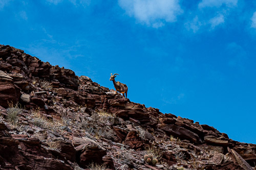 HJRW_20230815_NZ8_02557.jpg HJRW_20230815_NZ8_02557.jpg