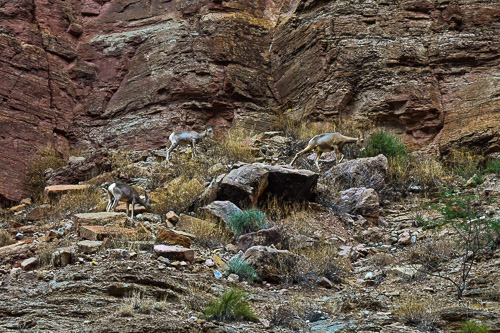 HJRW_20230817_NZ8_03250-edit-2.jpg HJRW_20230817_NZ8_03250-edit-2.jpg